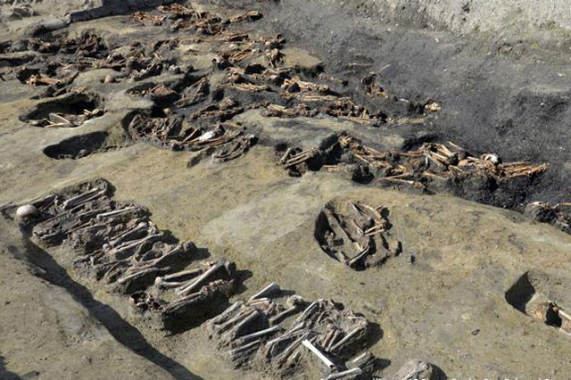 Rất nhiều bộ hài cốt được tìm thấy.