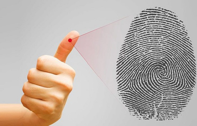 Vì sao chúng ta có dấu vân tay?