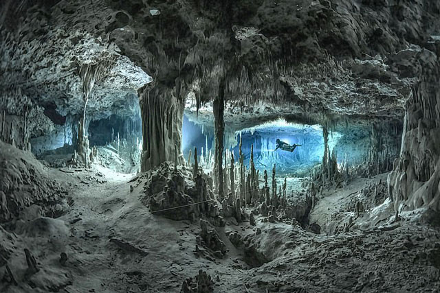 Hang động dưới nước có cảnh đẹp tuyệt trần.