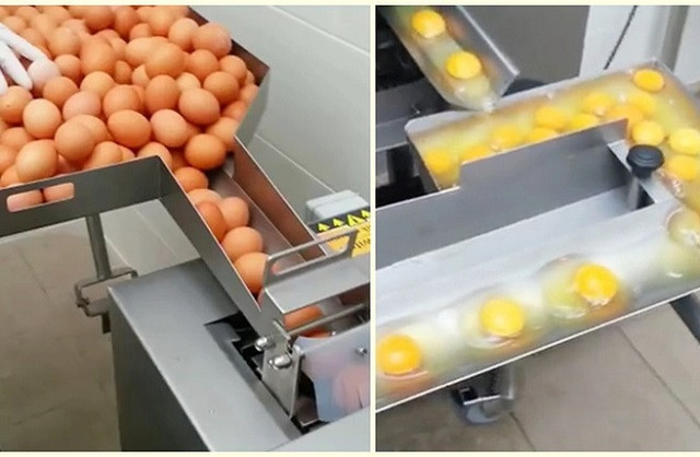 Cận cảnh máy tách lòng đỏ trứng tự động siêu nhanh, siêu chính xác