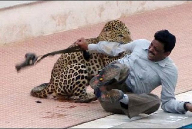 Kinh hoàng cảnh báo tấn công người dân ở Ấn Độ