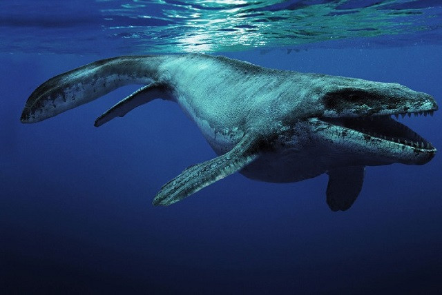 Thủy quái 85 triệu năm tuổi được tìm thấy ở Mỹ