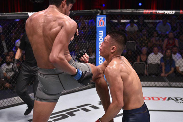 Pha lên gối khiến Steven Nguyễn bị hạ knock-out.