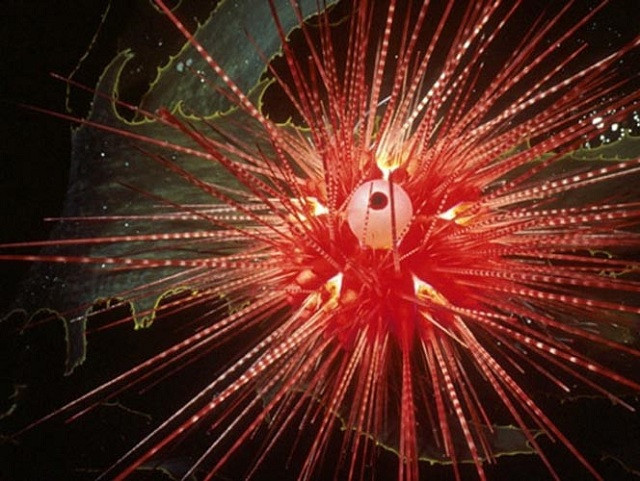 Những loài động vật sống lâu nhất Trái Đất 