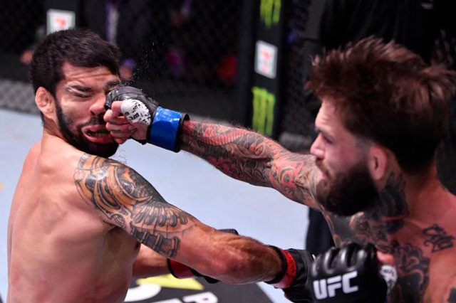 Pha ra đòn giúp Cody Garbrandt giành chiến thắng knock-out.