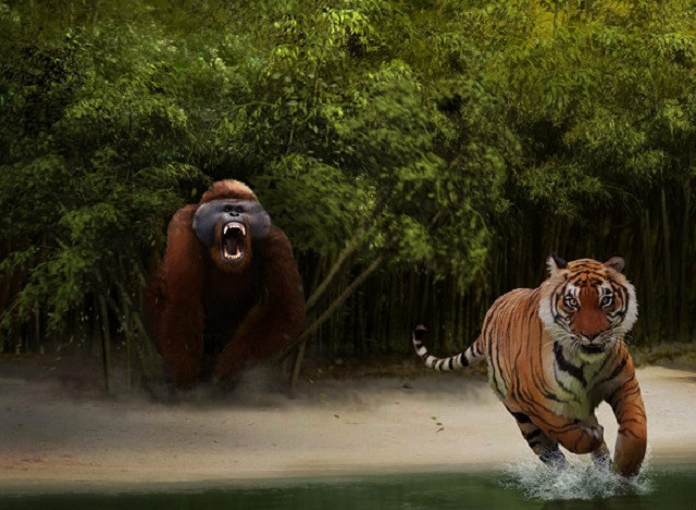 Liệu King Kong đã từng xuất hiện trên Trái Đất?