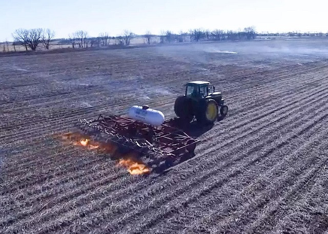 Lạ kỳ, nông dân Mỹ diệt cỏ dại bằng cách... phun lửa