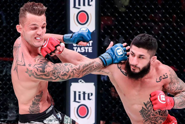 Sabah Homasi hạ gục đối thủ.