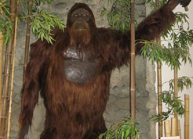 Gigantopithecus, phiên bản có thật của King Kong