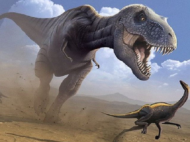 Những hiểu biết sai lầm của chúng ta về khủng long bạo chúa 