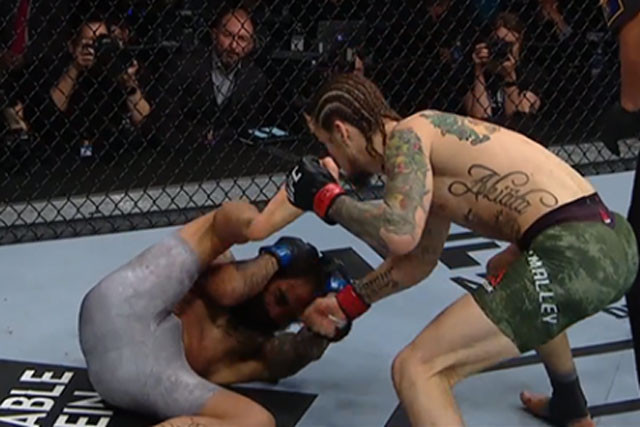 Sean O'Malley hạ đo ván đối thủ chỉ sau hơn 2 phút thi đấu.