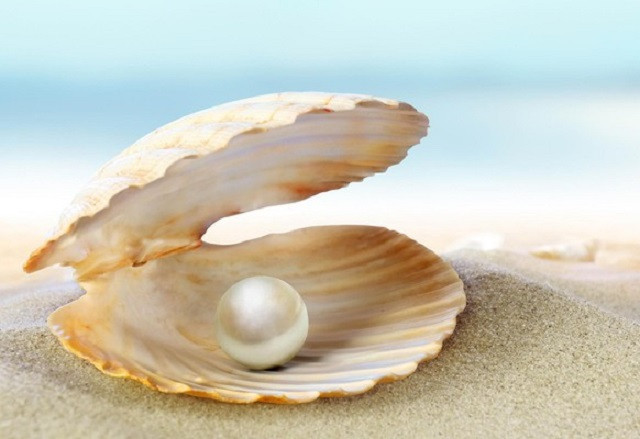 Quá trình hình thành ngọc trai trong tự nhiên