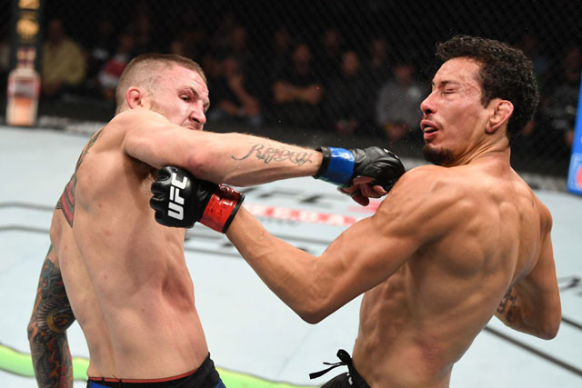 Steven Peterson ra đòn hạ gục đối thủ.