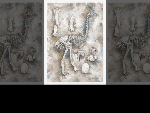 Bí mật về loài 'chim voi' và sự diệt vong của chúng