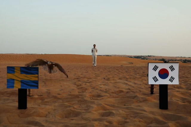 "Tiên tri" chim cắt dự đoán Thụy Điển sẽ giành chiến thắng trước Hàn Quốc.