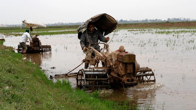 Tổ dịch vụ máy cày bừa do Đoàn TN xã Hồng Tiến đang làm đất vụ Chiêm 2014. ảnh: Xuân Tùng