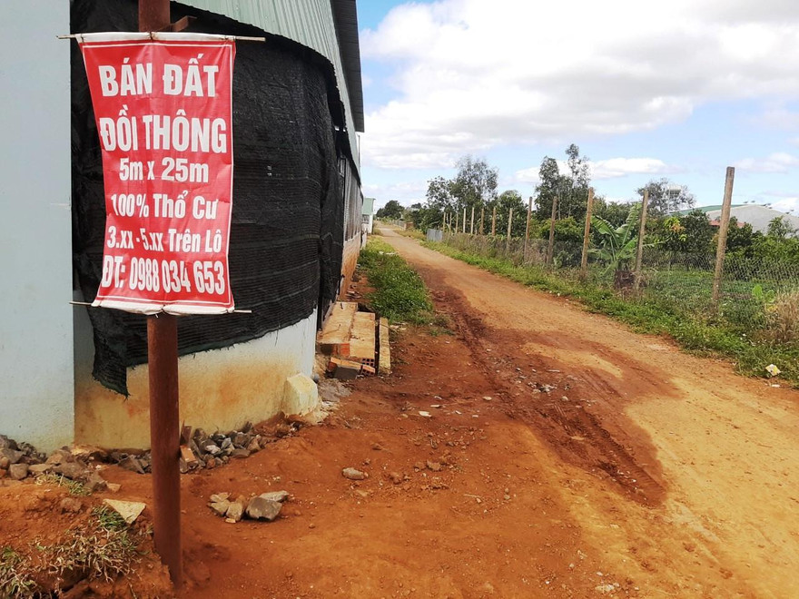 Nạn cò đất nở rộ ở đồi thông của huyện Ia Grai