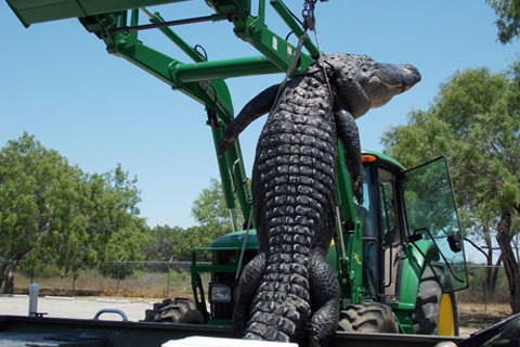 Ảnh minh họa: AP