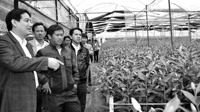 Tham quan mô hình sản xuất hoa của thanh niên ở TP Đà Lạt