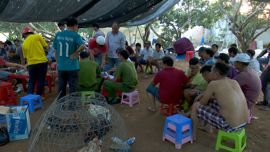 Các đối tượng tham gia đá gà