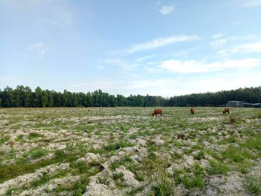 Dự án Green City 3 của Công ty Cổ phần TMDV Xây dựng – Đầu tư phát triển Địa ốc Bình Dương mở bán khi chưa có pháp lý