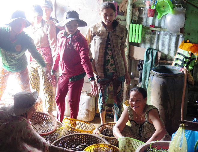 Bà Ba Bánh tét (ngồi bên phải) tươi cười mua sản vật hái lượm. Ảnh: Tiến Hưng