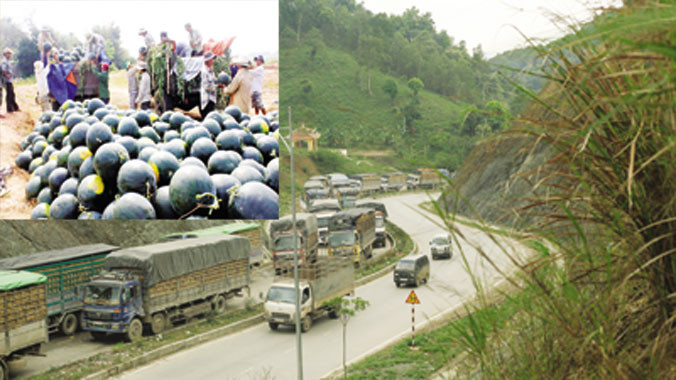 Đoàn xe chở dưa rồng rắn nối dài hàng chục km ở Lạng Sơn (ảnh lớn) ảnh: Công Anh; Người dân trồng dưa miền Trung điêu đứng vì dưa được mùa, mất giá (ảnh nhỏ). ảnh: NGUYỄN HUY