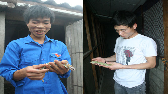 Ngọc Văn Viên và Hoàng Văn Vui nâng niu những con tắc kè