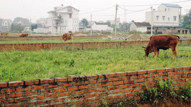 Trong sự hoang hóa của dự án Bắc Phú Cát có sự “góp sức” của cán bộ địa phương Ảnh: Bảo an