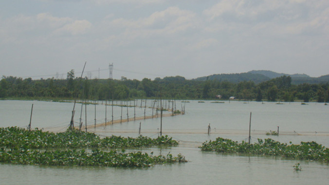 Mặt hồ Trị An bị bao chiếm trái phép