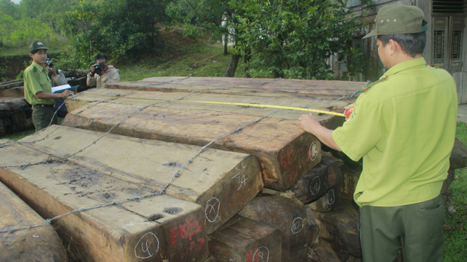Gỗ tang vật được tạm giữ tại Hạt Kiểm lâm Dốc Kiền (Đông Giang). Ảnh: CTV