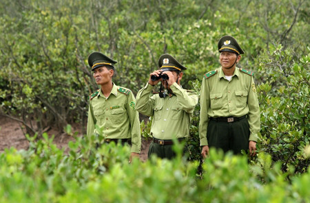 Lực lượng kiểm lâm. Ảnh minh họa.