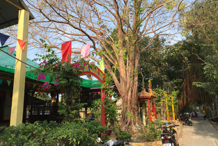 Khởi tố nữ đồng phạm trong vụ cướp tài sản tại miếu bà Chúa Xứ 