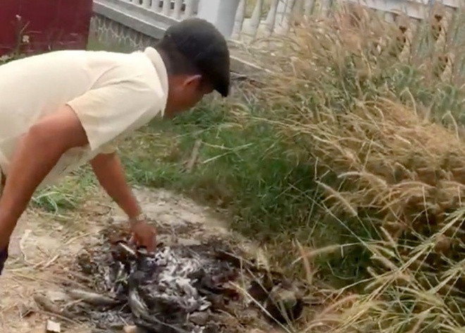 Người dân phát hiện các đoạn xương tại nghĩa trang ở huyện Củ Chi. Ảnh: Zing 