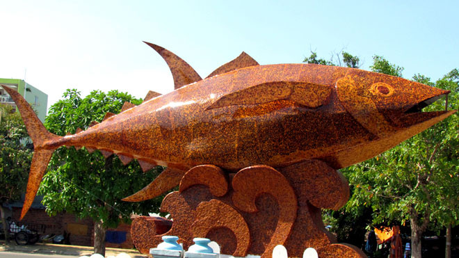 Cá ngừ đại dương bằng vỏ gáo dừa