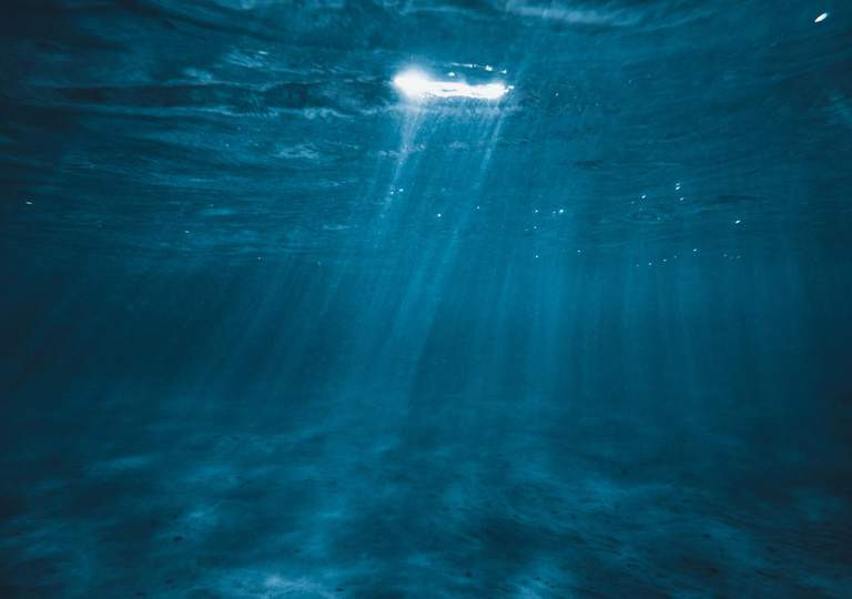 Những động vật đầu tiên trên Trái Đất dưới đáy biển