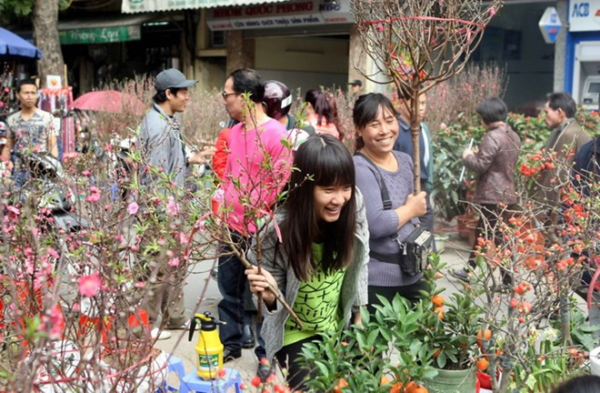 Ảnh minh họa: TTXVN