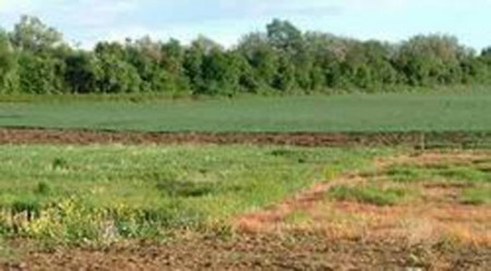 Gần 100 người dân đến trụ sở huyện phản đối bắt người