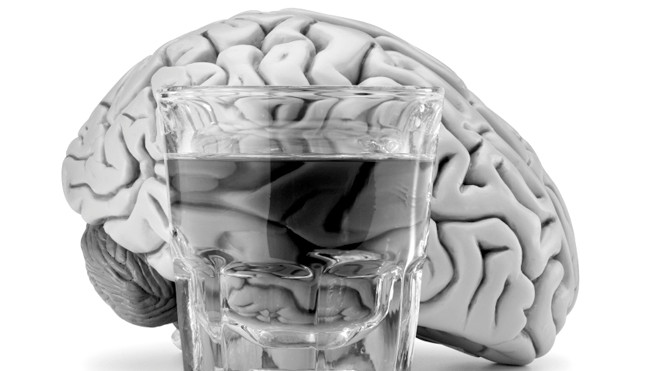 Cơ thể cần khoảng 1 giờ để “tiêu hóa” hết 30ml đồ uống cồn