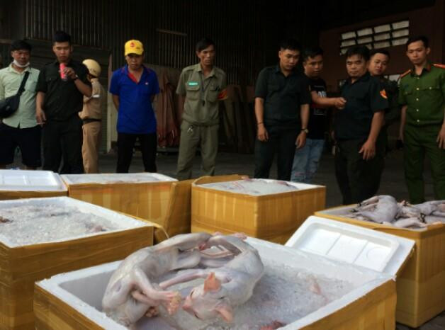 Phát hiện xe khách chở hàng tấn thịt mèo thối 