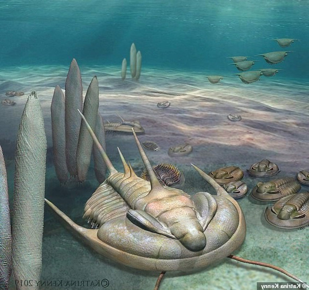 Phát hiện loài 'bọ bạo chúa' có kích thước khổng lồ cách đây 500 triệu năm