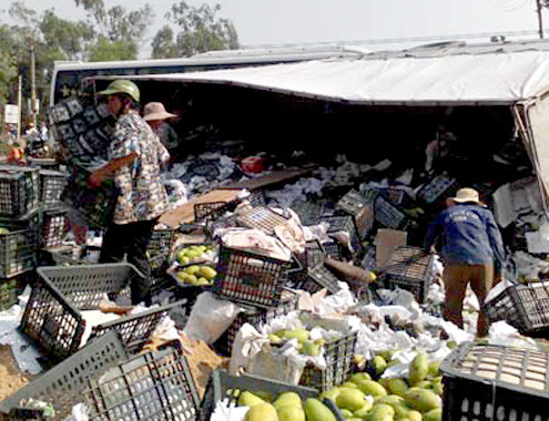  Người dân giúp chủ xe gom số xoài bị tràn trên quốc lộ. Ảnh: VnExpress.