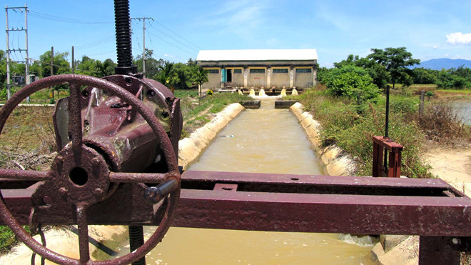 Trạm bơm Tứ Câu hoạt động cầm chừng vì nhiễm mặn