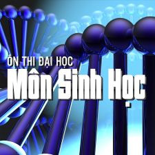 Ôn thi đại học môn Sinh: Đột biến gen