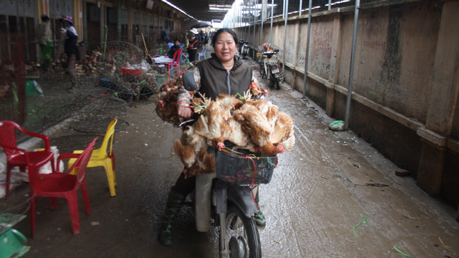 Ảnh chụp tại chợ Hà Vỹ ngày 26/2. ảnh: nguyễn tú