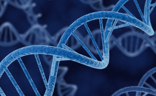 Chiều dài của ADN trong nhân mỗi tế bào dài khoảng 1,8 m. Tuy nhiên nó được nén, được xoắn cuộn thật chặt để cuối cùng chỉ còn khoảng 0,0001 cm. Ảnh: softpedia-static