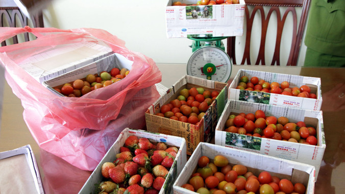 Tang vật bị thu giữ