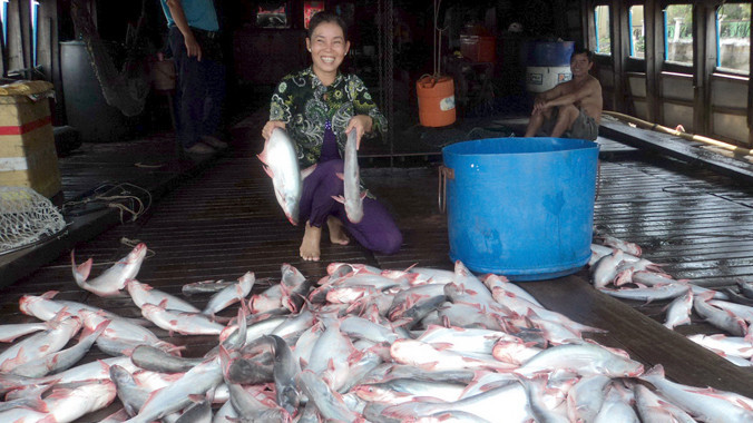 Nụ cười của người bán cá tra. Ảnh: Sáu Nghệ