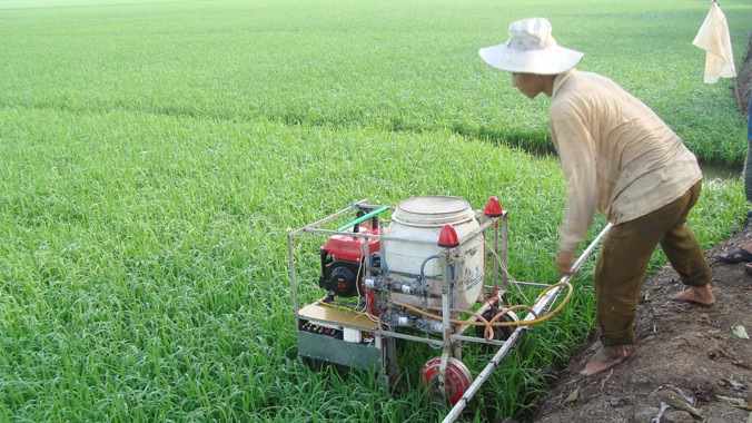 Khoảng 80% thuốc bảo vệ thực vật nông dân phun không đúng đối tượng, liều lượng. Ảnh: Phương Chăm