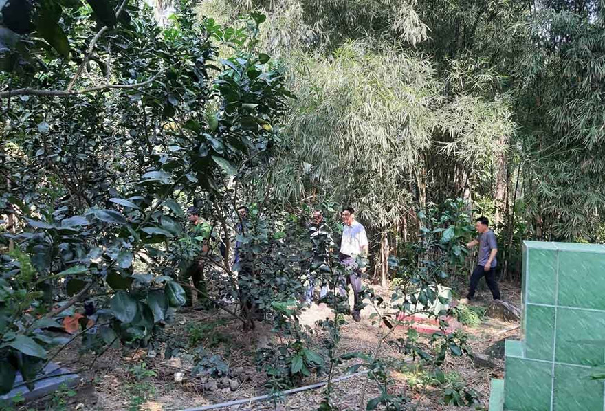 Khu vực xảy ra vụ việc